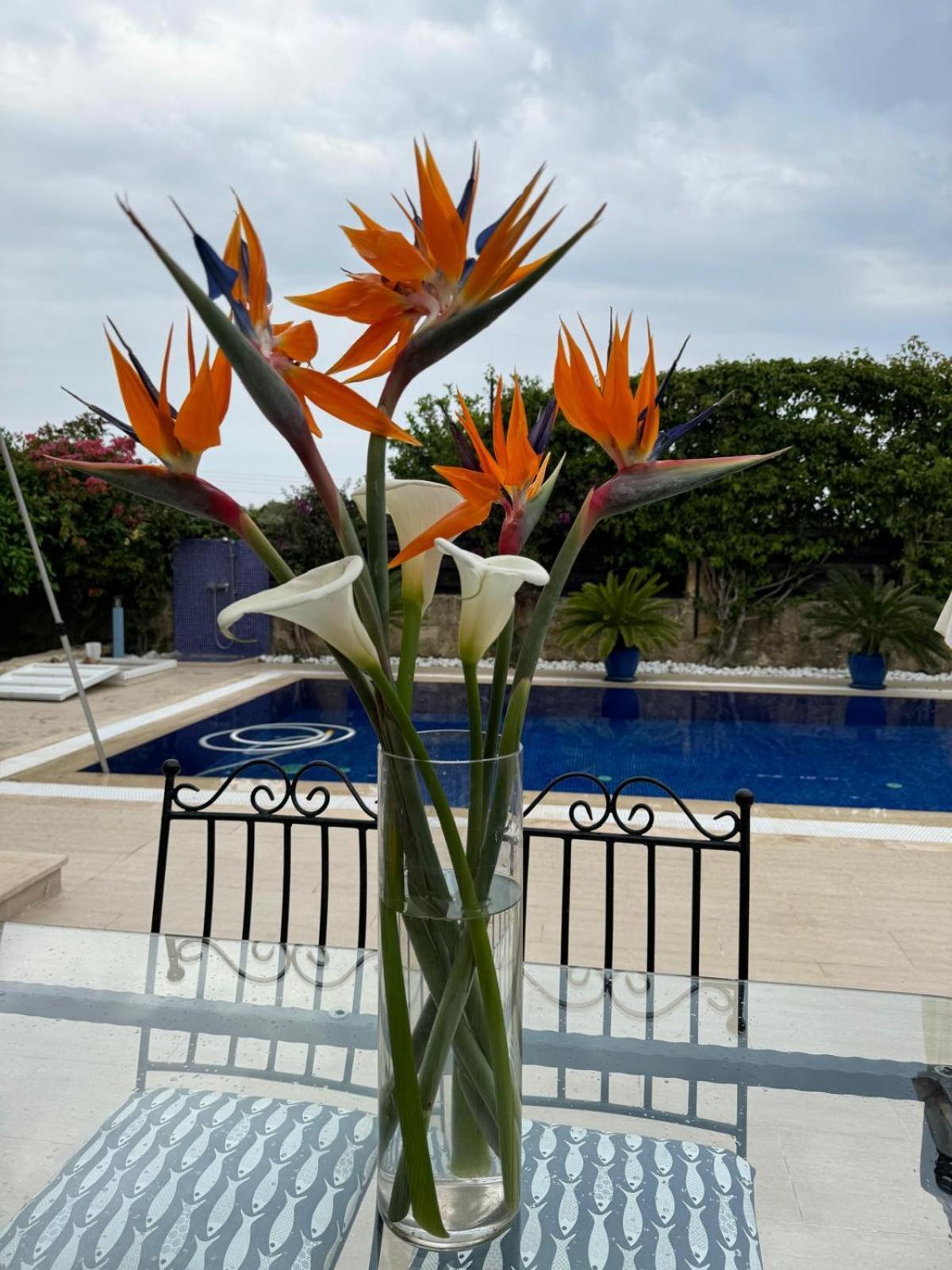 Villa Casa Santos Kyrenia Kyrenia  Exterior foto